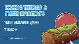 Year 4 Living Things and Their Habitats True or False Quiz