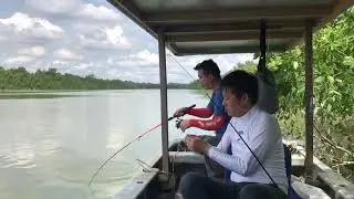 Giant River Prawn Fishing with Moggy Prince