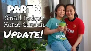 Small Indoor Home Garden UPDATE! 🌿 - Astana, Kazakhstan 🇰🇿 (Part 2) | Alguno Diaries
