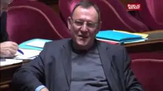 «Misogyne beauf», «nana» : échanges «virils» sur la parité au Sénat