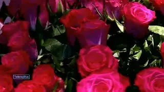 Giovanni Marradi - Tango de Roses @TatianaBlue