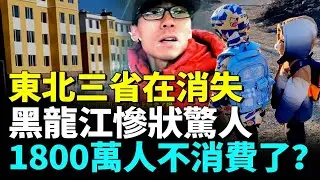 中國東北正在消失！黑龍江慘狀驚人，長春瀋陽1800萬人不消費了？東三省全年新生兒35萬，年輕人外逃，100元能買套房沒人要！當地人談怪象 #看大陸