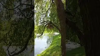 Realme GT Neo 2 - For Video / Camera Test (daylight, ultrawide, night mode)