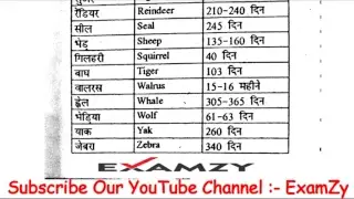 Examzy Live Stream
