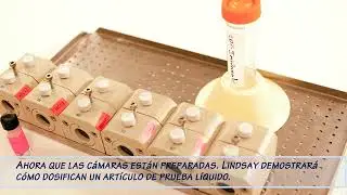 Bovine Corneal Opacity and Permeability (BCOP) Assay with Spanish Subtitles