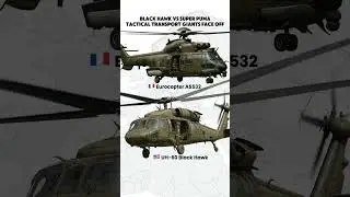 Black Hawk vs Super Puma &ndash; Tactical Helicopter Showdown!