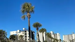 St Pete Beach ,Florida LIVE 
