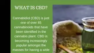 Why CBD oil and why CTFO?