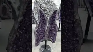 Amethyst Angel Wing . Energized Crystal #crystalforsale #crystalshop #pyrite #crystalenergy #energy