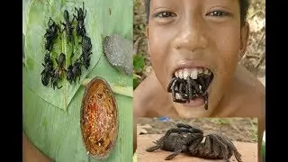 Primitive Technology - Delicious Food - Find Black Spiders Cooking on a Rock Eating Delicious