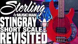 Модель Sterling by Music Man Stingray Short Scale Revisited - Великолепная короткая версия - LowE...