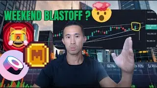 Crypto Blastoff Coming Soon? Latest MOG MEME SUSHI Price Predictions & News