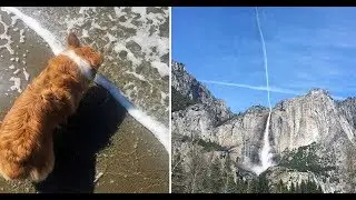 Coincidentally Captured Photos You May Not See In Your Life | Mr. Max