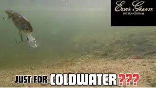 BEST JDM FLATSIDE CRANKBAIT THE EVERGREEN COMBAT CRANK