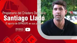 &ldquo;Perros en acci&oacute;n&rdquo;  Programa N&ordm; 419 Bloque 1