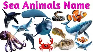 Learn Sea Animals Names: Shark, Dolphin, Octopus, Crab, Whale with Sound  #SeaAnimals