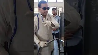 Aluminium sheet weld by oxy acetylene gas welding