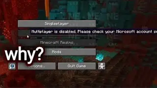 multiplayer blocked in 1.16.5 pojavlauncher?