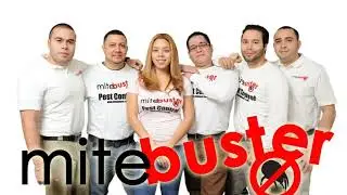 Ultimate Pest Control & Ensuring a Bug-Free Home with MiteBuster in Major Cities