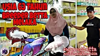 TERJAH WAN ROS BETTA // BREEDER DI MELAKA BERUSIA 63TAHUN//MENJUAL IKAN BORONG‼️