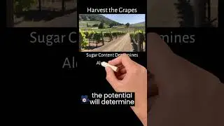 How Wine Is Made.