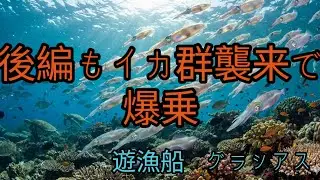 ２０２６釣り初め　天草西海岸でティップランに行ってみた（後編）の巻