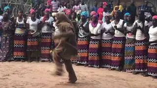 Dantza / Danza / Dance Djiguinoume, Senegal.