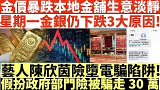 金價暴跌本地金舖生意淡靜|星期一金銀仍下跌3大原因!|藝人陳欣茵險墮電騙陷阱!|假扮政府部門險被騙走30萬|井仔點睇 #黃金暴跌 #白銀暴跌 #黃金特朗普 #E奶前J2女神陳欣茵墮電騙陷阱
