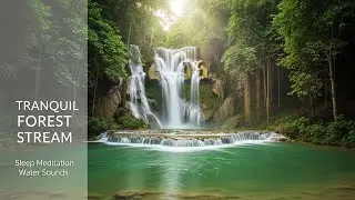 Calming Forest Ambience with Relaxing Water Flow for Study Meditation Inner Peace and Stress Relief