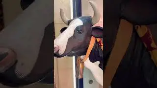 Christmas vaca #dj #musica #funny #remix #trending #shorts #viral #cute #yt #pets  #love #dems