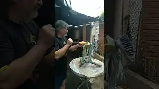 Meu irm&atilde;o Airton pintando um teropode.