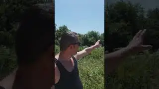Miljatovići u Kljevcima