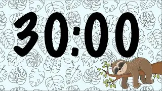 30 Minute Sleepy Sloth Timer (Summer Synth Tones at End)