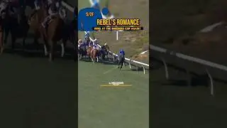 🔵REBEL'S ROMANCE wins at The Breeders Cup AGAIN!