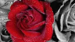 Micn - let me touch your body