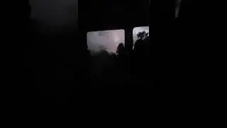 Another Disney Bus Ride
