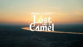 [PLAYLIST] Lost Camel / Middle Eastern #EpicJourneySound #DesertMelody #MiddleEasternAmbience