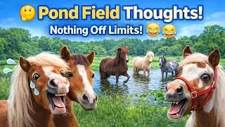 Pond field thoughts 😂 Nothing off limits! Your favorite miniature horses & their pond field results 