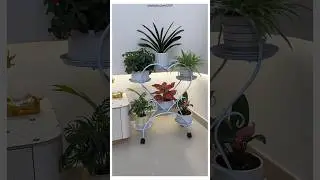 Heart Shaped Plant Tray For Your Plants 🪴 #gadgets #homehacks