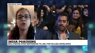 India: Bollywood superstar Salman Khan sentenced to 5 years of jail for killing protected antelopes