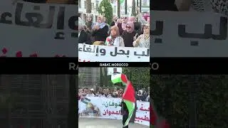 По всему миру вспыхивают пропалестинские протесты