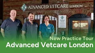 Advanced Vetcare London - Walkthrough with Co-Founder Dane Walker