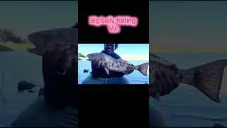 Monster 25-Inch Redfish Caught in Savannah, Georgia! | Big Belly Fishing 2025