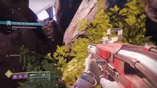 Destiny 2 hidden cat location