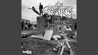 Vadregény