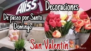 De paseo por Santo Domingo/Visitando Tienda Aliss/ *Vlog* Pocas decoraciones para San Valentín.