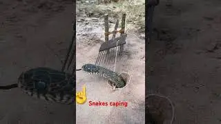 Amazing snack trap DIY make using motorcycles Dise catch a snake 🐍 in the hole #shortvideo #snacks