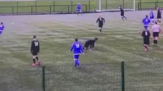 Riki 10 craigshill thistle 2016