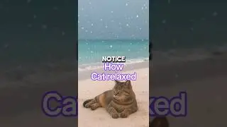 Why Cats Are So Calm? #cat #shorts #animals