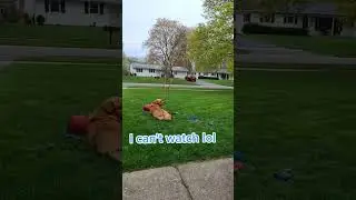 #shorts #short #viral #funny #fyp #youtuber #ytshorts #ytshort #skeleton #pets #funnyvideo #funnyaf